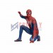 Spider-Man PS4 Advanced Spandex Cosplay Costumes