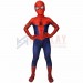 Kids Suit Spider-man Peter Parker Spandex Cosplay Costume